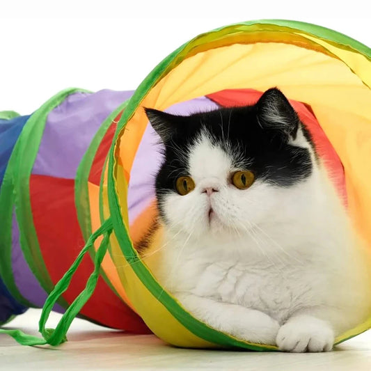 Foldable Cat Tunnel Play Toy