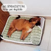 Winter Dog Kennel Mat™ – Removable & Washable