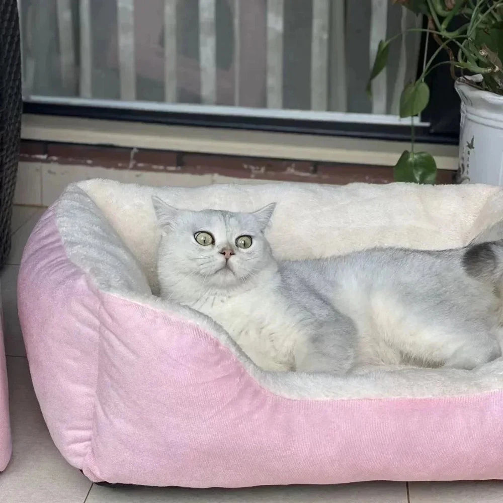Pet Bed & Mat Collection™ – Multi-Size