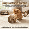 Plush Fur Catnip Ball Toy