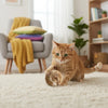 Plush Fur Catnip Ball Toy