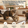 Plush Fur Catnip Ball Toy