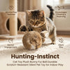 Plush Fur Catnip Ball Toy