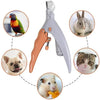 Electric Chirping Bird Cat Toy