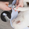 Electric Chirping Bird Cat Toy