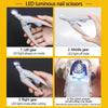 Electric Chirping Bird Cat Toy