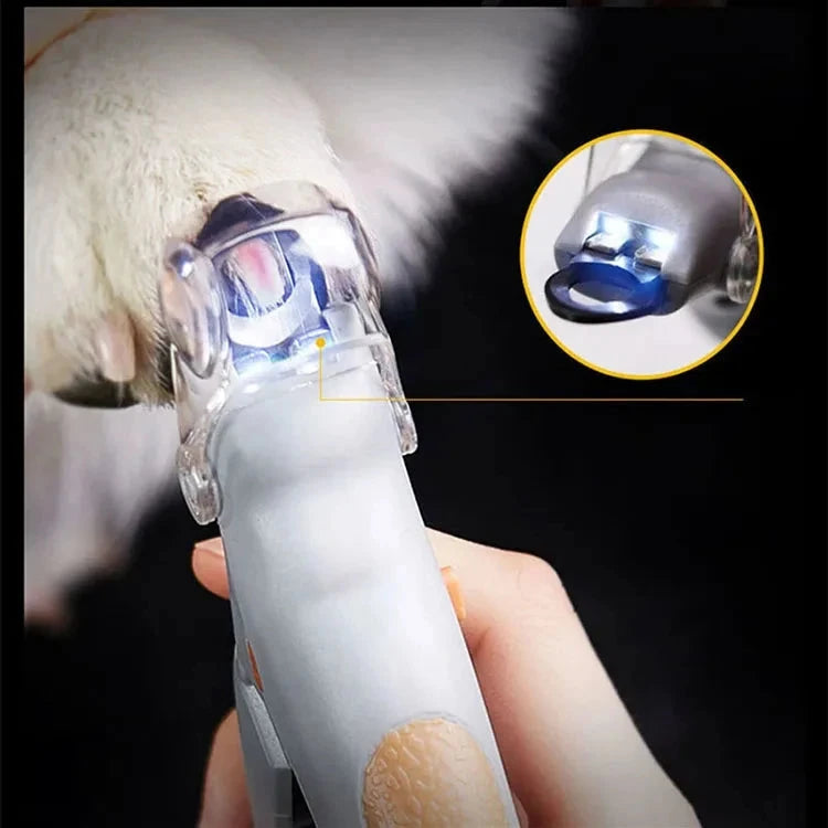 Electric Chirping Bird Cat Toy