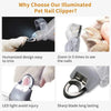 Electric Chirping Bird Cat Toy
