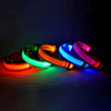 LED Glow Dog Collar and Leash