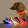 LED Glow Dog Collar and Leash