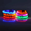 LED Glow Dog Collar and Leash