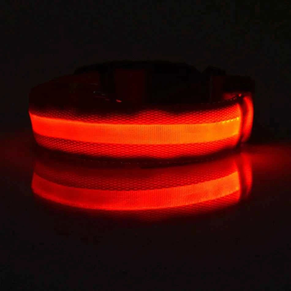 LED Glow Dog Collar and Leash