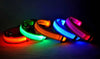 LED Glow Dog Collar and Leash