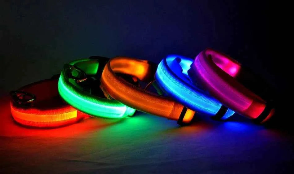 LED Glow Dog Collar and Leash