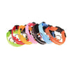 LED Glow Dog Collar and Leash