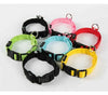 LED Glow Dog Collar and Leash