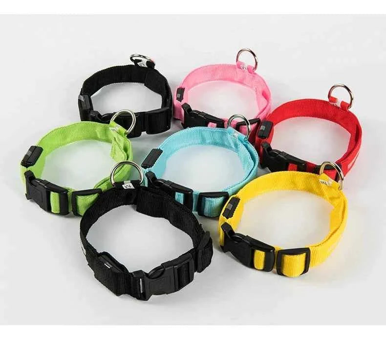 LED Glow Dog Collar and Leash