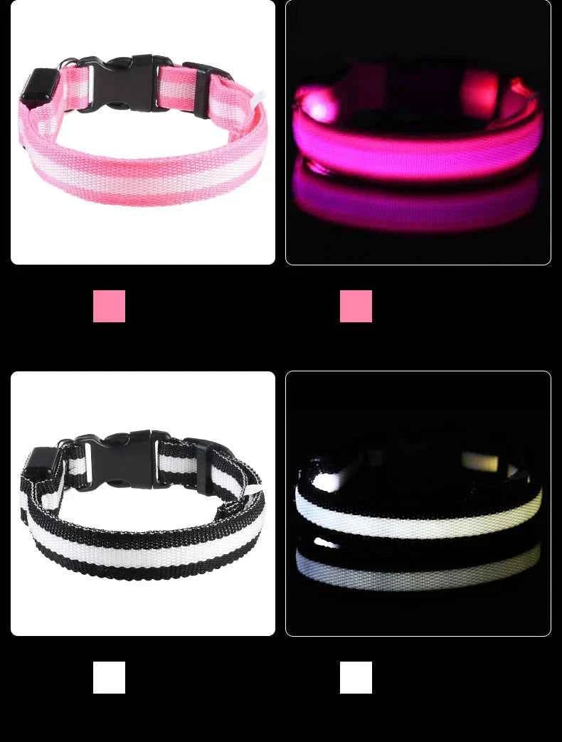 LED Glow Dog Collar and Leash