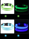 LED Glow Dog Collar and Leash