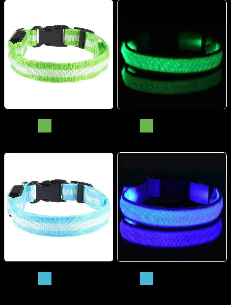 LED Glow Dog Collar and Leash