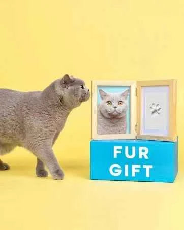 Clean Touch Pet Paw Print Ink Keepsake Kit