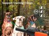 Safe Dog Training Collar