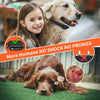 Safe Dog Training Collar