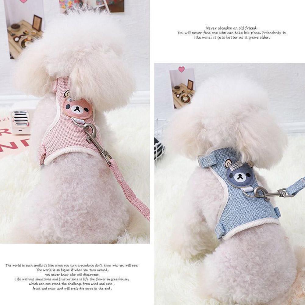 Pet Vest Harness & Leash Set