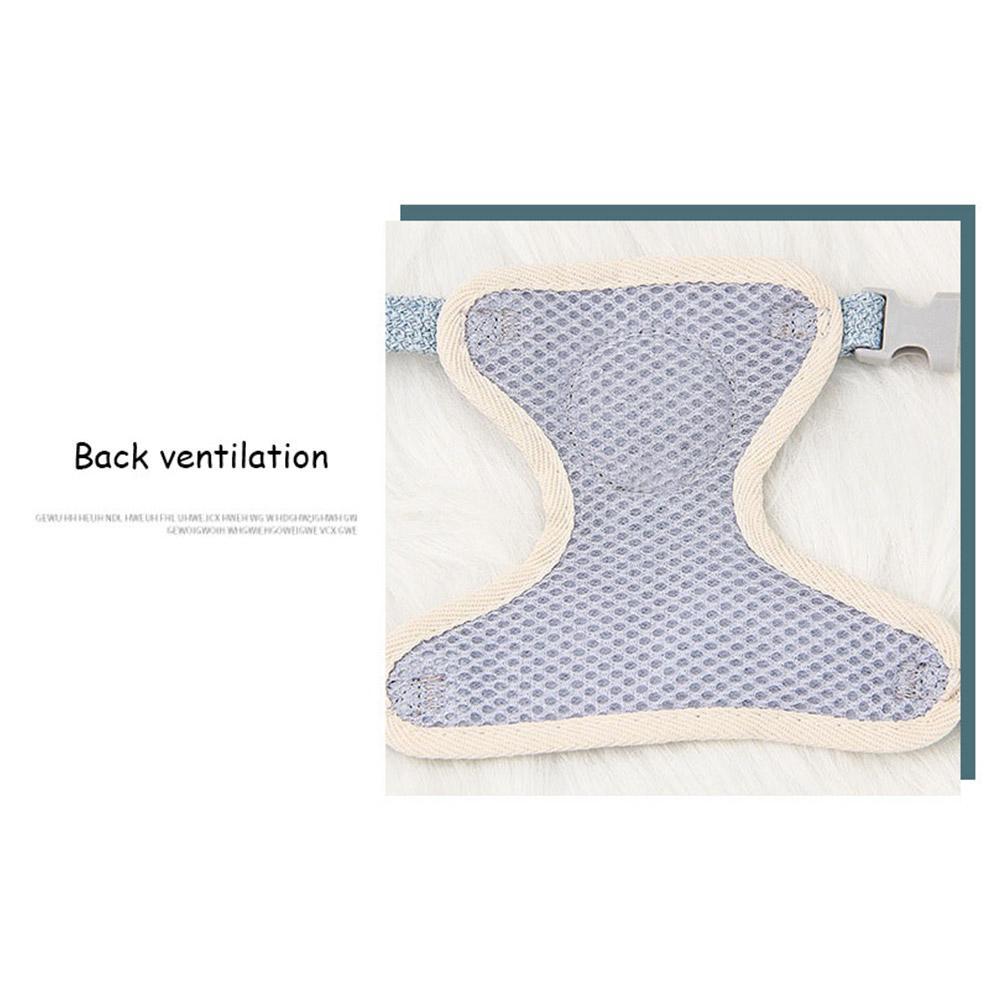 Pet Vest Harness & Leash Set