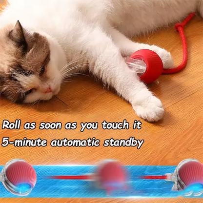 OrbitPet™