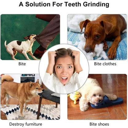 Dog Chew Ball — Treat Feeder & Teeth Cleaner
