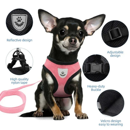 Adjustable Cat & Dog Harness with Leash