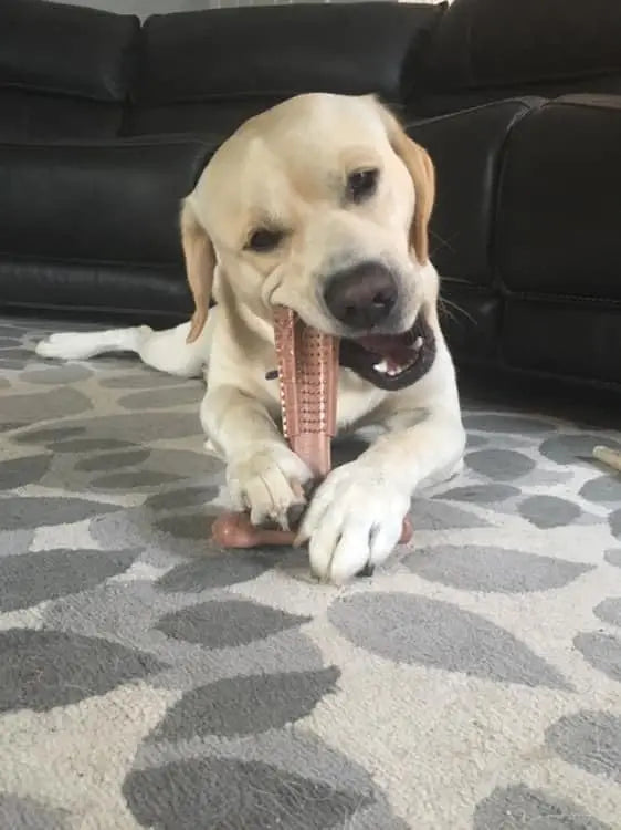 Bamb-O-Care: Durable Bamboo Fiber & Rubber Dental Chew