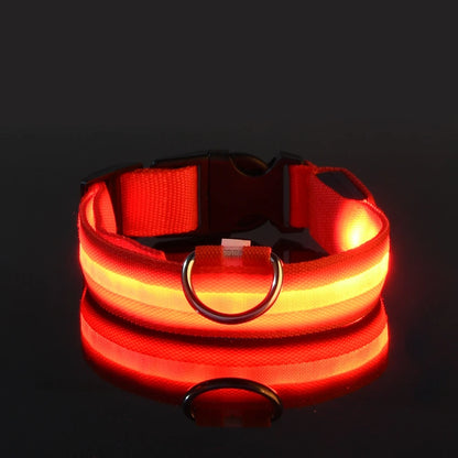LED Glow Dog Collar & Leash