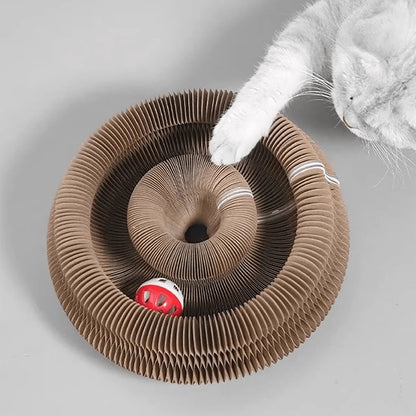 Foldable Cat Scratcher with Bell & Catnip