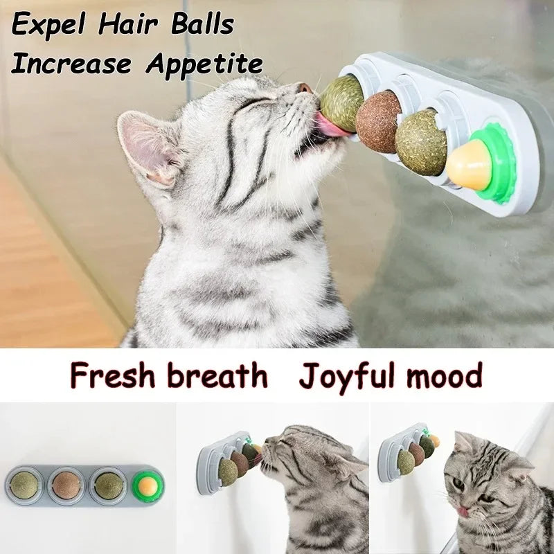 4-in-1 Rotating Catnip Wall Toy for Cats
