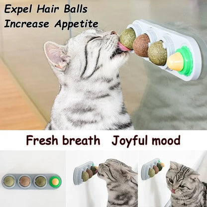 4-in-1 Rotating Catnip Wall Toy for Cats
