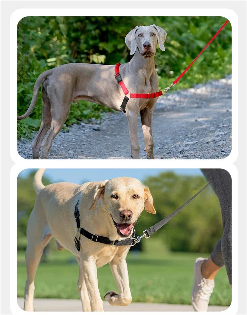 Large Dog Vest Harness