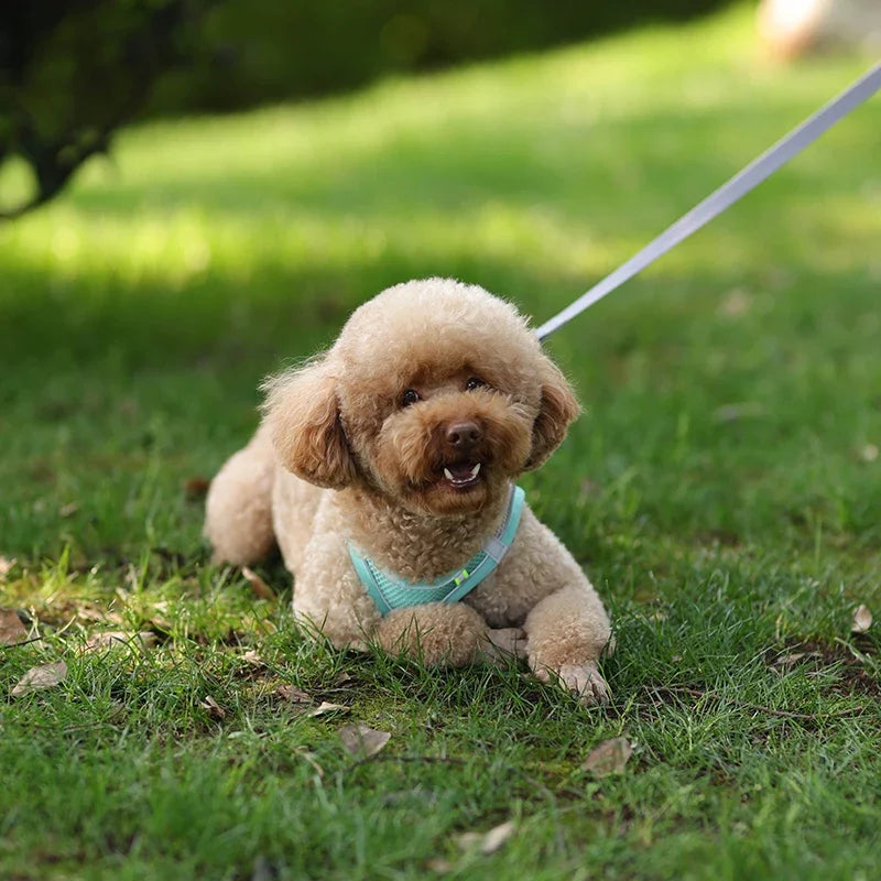 TrailLeash Pro™