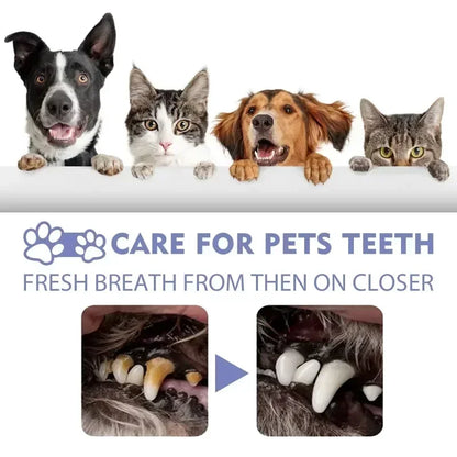 Pet Oral Spray — Fresh Breath & Clean Teeth