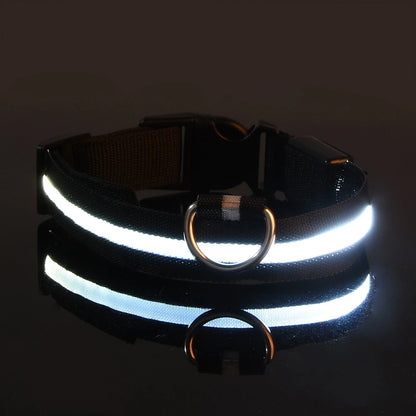 LED Glow Dog Collar & Leash