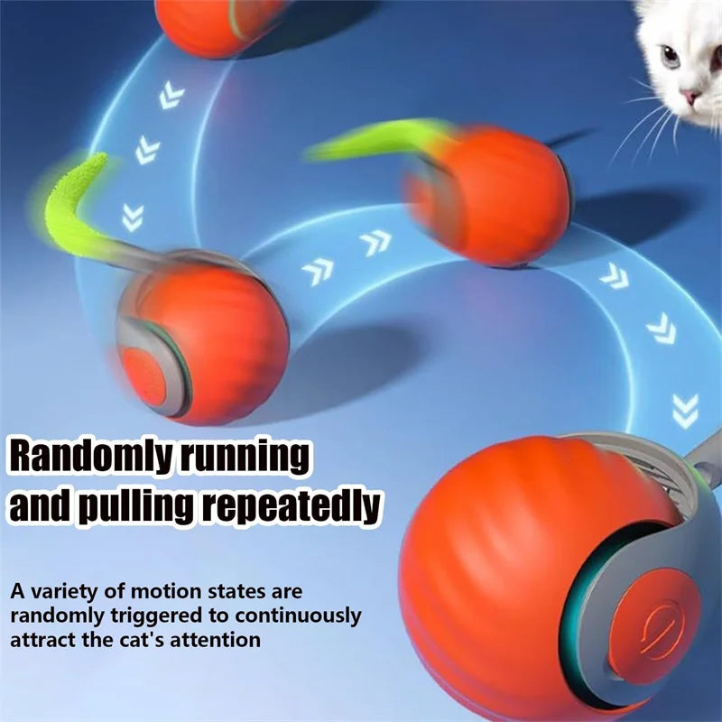 CatnipBall Pro™