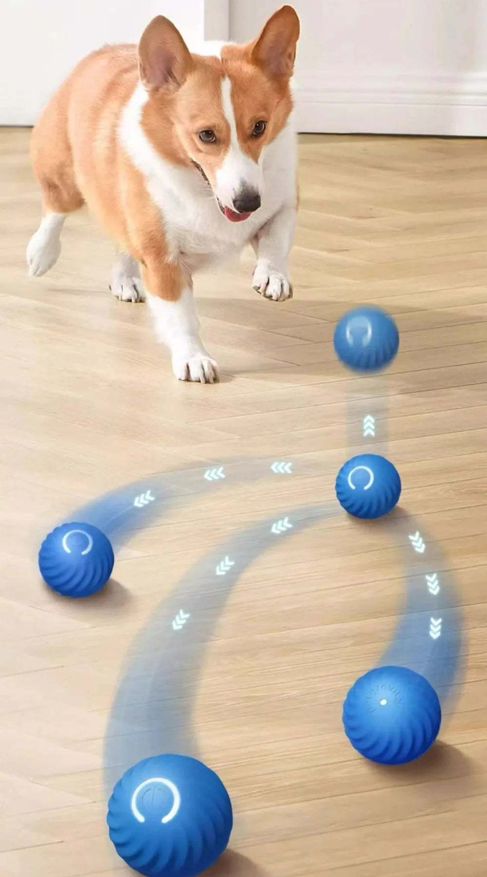 SmartBall Pet™