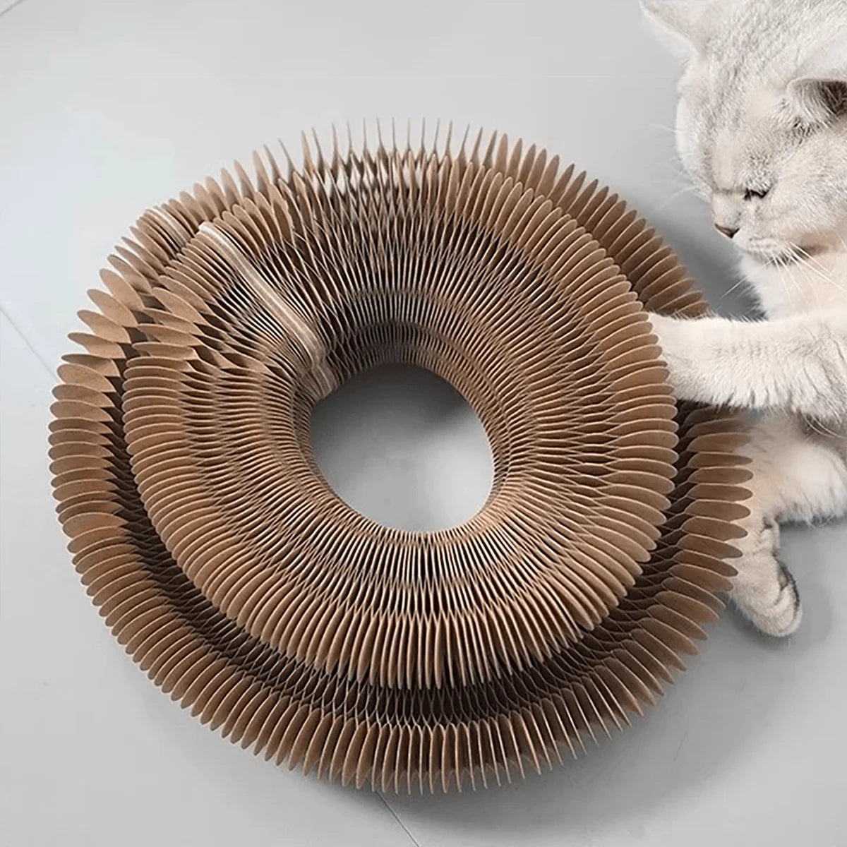 Foldable Cat Scratcher with Bell & Catnip