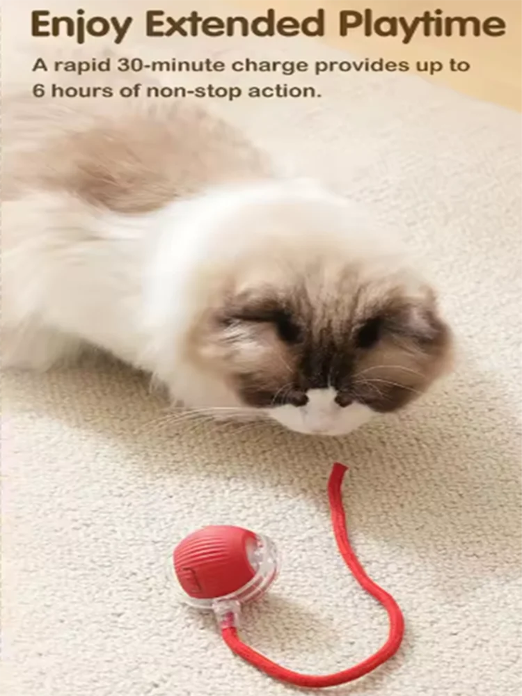 OrbitPet™