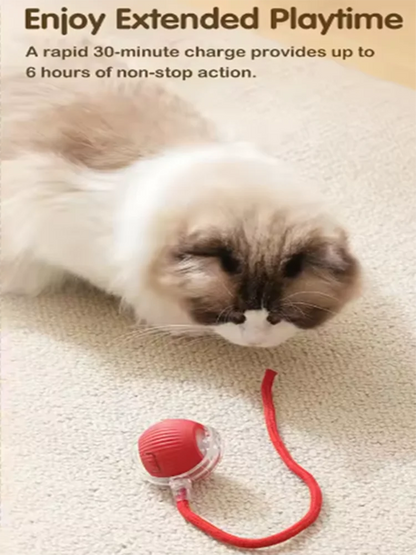 OrbitPet™