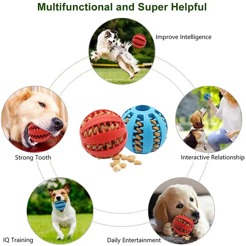 Dog Chew Ball — Treat Feeder & Teeth Cleaner