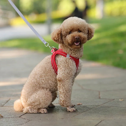TrailLeash Pro™