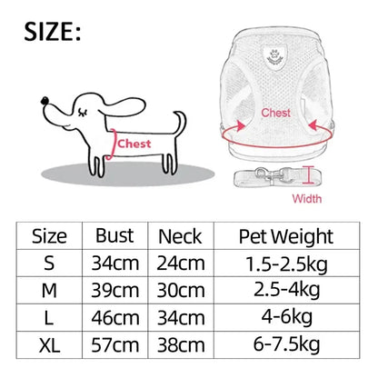 Adjustable Cat & Dog Harness with Leash