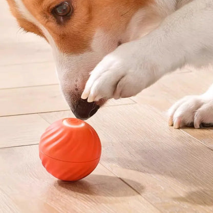 SmartBall Pet™